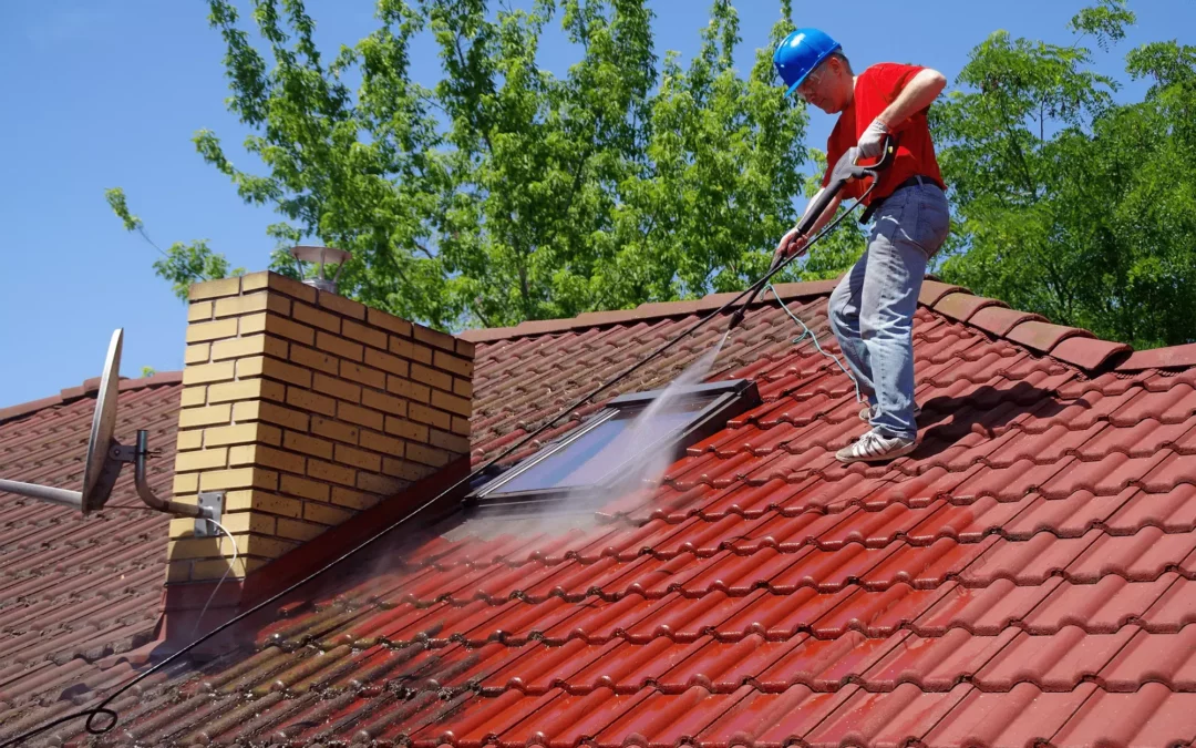 Roof Cleaning