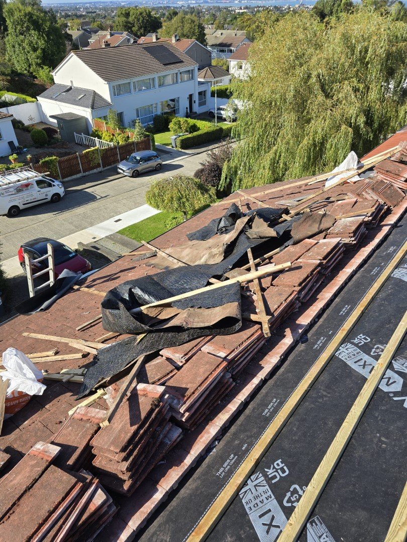 Roofing Repair Service Dublin